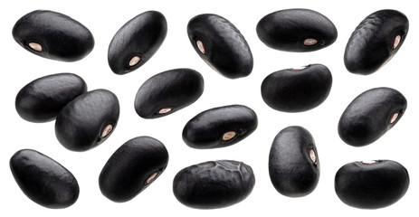 Black bean collection isolated on white background
