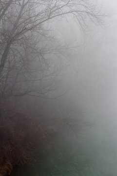 mist and fog at the river, ambiental and dark river motive with naked trees and green water