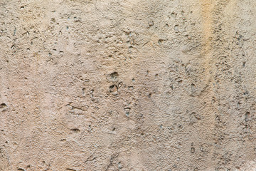 cover the cracks in a wall with mud or plaster