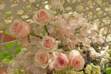 bouquet of pink roses