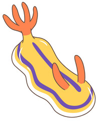 黄色いウミウシ