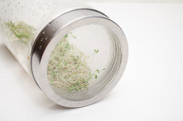 Glass jar with a metal lid and sieve, for microgreen, young sprouts of radish, lucerne, fenugreek plants on white background