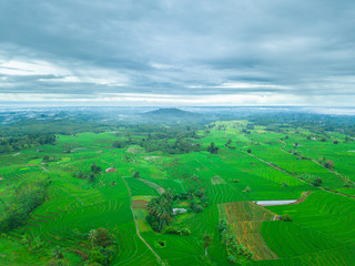 indonesia aerial view of panorama rice fields indonesia