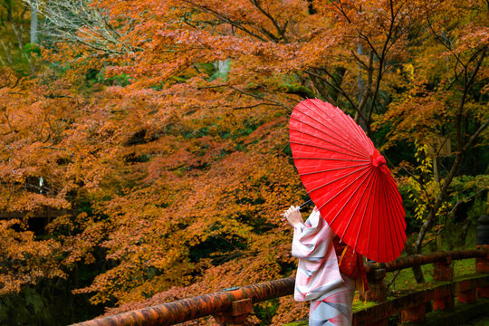 woman in old fashion style wearing tradition or original Japanese dressed, walks on the bridge of village, Autumn season change blooming on popular and famous place for tourist visit Japan