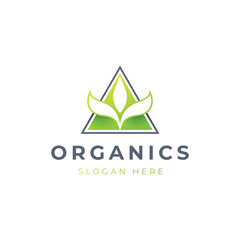 Obraz premium Abstract Triangle Nature logo design