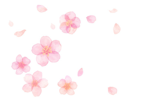 桜 の画像 8 048 666 件の Stock 写真 ベクターおよびビデオ Adobe Stock