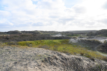 Fototapeta na wymiar Blick über die Dünenlandschaft an der Nordseeküste