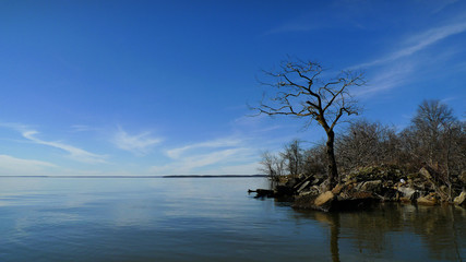 Shoreline of large lake with winter trees