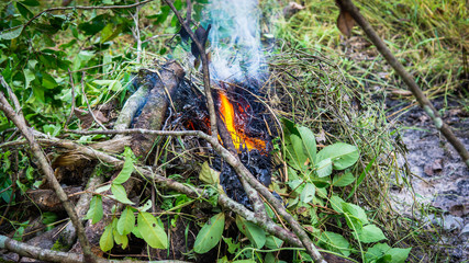 Close up view of fire burning the old dried tree branches and woods in the garden.