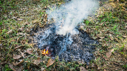Close up view of fire burning the old dried old leaves in the garden.