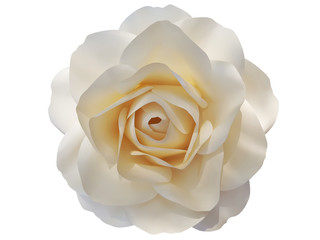 Delicate rose made of paper on a white background