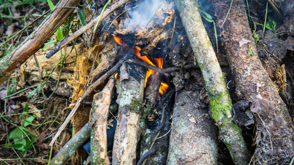 Close up view of hand making a campfire using the dried tree branches.