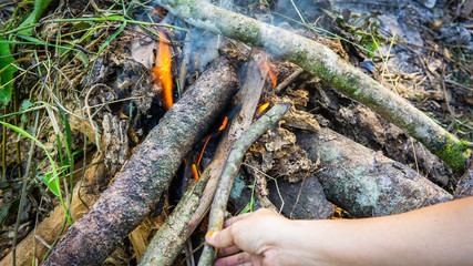 Close up view of hand making a campfire using the dried tree branches.