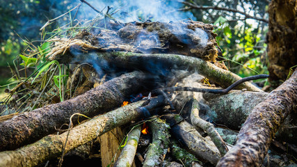 Close up view of hand making a campfire using the dried tree branches.