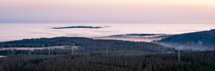 Fototapeta premium Achtermannshöhe im Harz bei Nebel