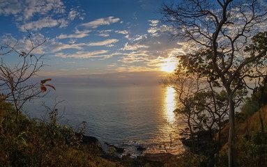 view seaside evening, silhouette top dry tree branches with yellow sun light and cloudy sky background, sunset at Laem Tanod (Tanod cape), Mu Ko Lanta National Park, Krabi, south of Thailand.