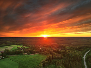 Aerial view of a forest against a bright orange sunset.
