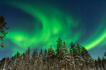 Polarlichter 