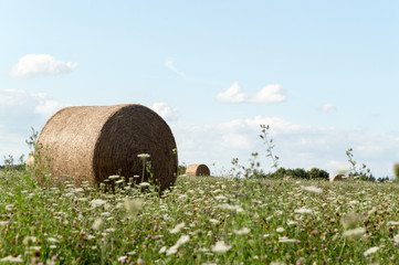 straw bale on meadow at summer day field and clouds