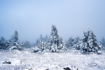 Schnee auf dem Brocken