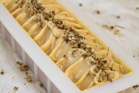 Freshly hand-made cold process soap with chamomile