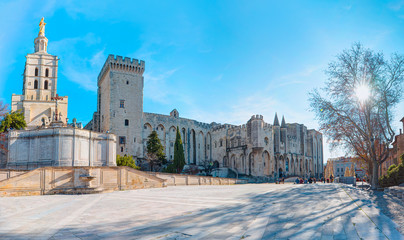 Avignon Cathedral (Cathédrale Notre-Dame des Doms d'Avignon) - Avignon, France © muratart