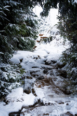 Fototapeta na wymiar Schnee im Harz