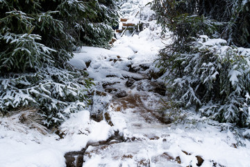 Schnee im Harz