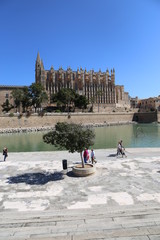 Naklejka premium La Seu – die Kathedrale von Palma de Mallorca