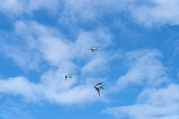 Kites flying in sky