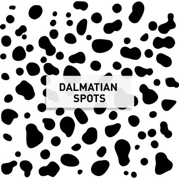 Dalmation Print Images – Parcourir 6,627 le catalogue de photos, vecteurs  et vidéos | Adobe Stock