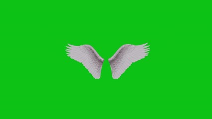 Fluffy white 3D animated angel wings with fairy tale beautiful feathers flapping on a green screen background