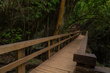 Fototapeta na wymiar old wooden bridge in deep forest, natural vintage background