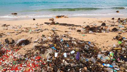 Dirty sea sandy shore the Black Sea. Environmental pollution. Ecological problem which Moving waves on the beach
