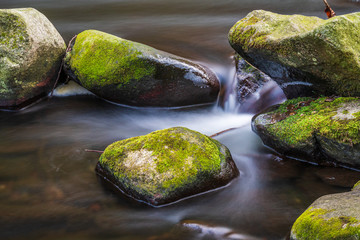 Bachlauf und Wasserfall im Harz
