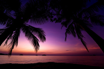 Obraz na płótnie Canvas Beautiful sunset at the beach in the tropics. Sky and ocean