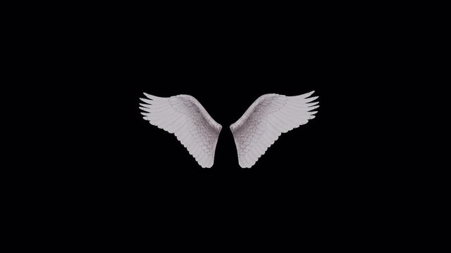 Isolated spirituality fantasy design of beautiful graphic 3D realistic white angel wings in motion - with alpha channel