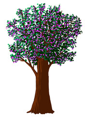 Obraz premium Vector flowering tree on white background