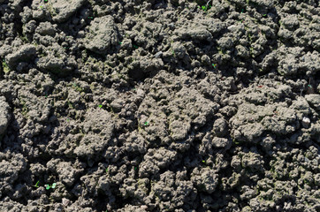 On a sunny day plowed and prepared soil for sowing in the spring close up