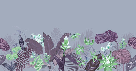 Seamless Tropical Background, Floral Wallpaper Print with Exotic Guzmania Orchid Blossoms, Jungle Flowers and Fern Leaves, Rainforest Plants, Nature Ornament for Textile or Paper Vector Illustration
