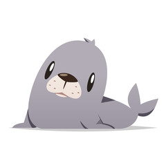 Cartoon seal animal vector isolated illustration