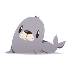 Fototapeta premium Cartoon seal animal vector isolated illustration