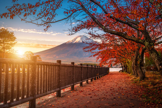 Mt. Fuji over Lake Kawaguchiko with autumn foliage at sunrise in Fujikawaguchiko, Japan.