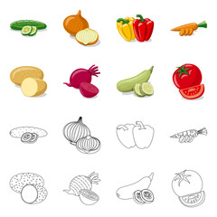 Vector design of vegetable and fruit logo. Collection of vegetable and vegetarian vector icon for stock.