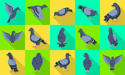 Pigeon of peace flat vector illustration on white background.Vector illustration set icon dove of bird .Isolated set flat icon pigeon.