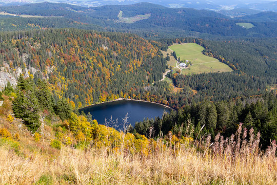 Scenic view at landscape and lake Feldsee from Feldberg, Black Forest in autumn with multi colored vegetation