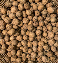 Organic bio fresh unwashed walnuts on wooden background