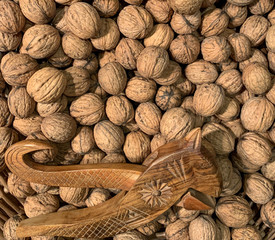 Old vintage wooden nutcracker and organic bio fresh unwashed walnuts in basket