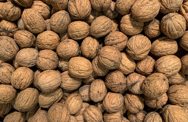 Background of bio organic fresh unwashed walnuts 