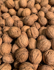 Closeup of fresh bio organic unwashed walnuts in shells 